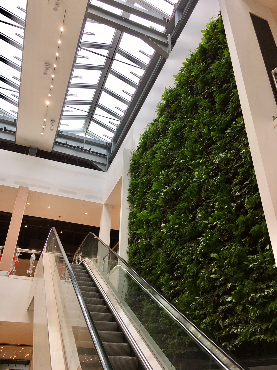 House of Fraser Green Wall, Envision